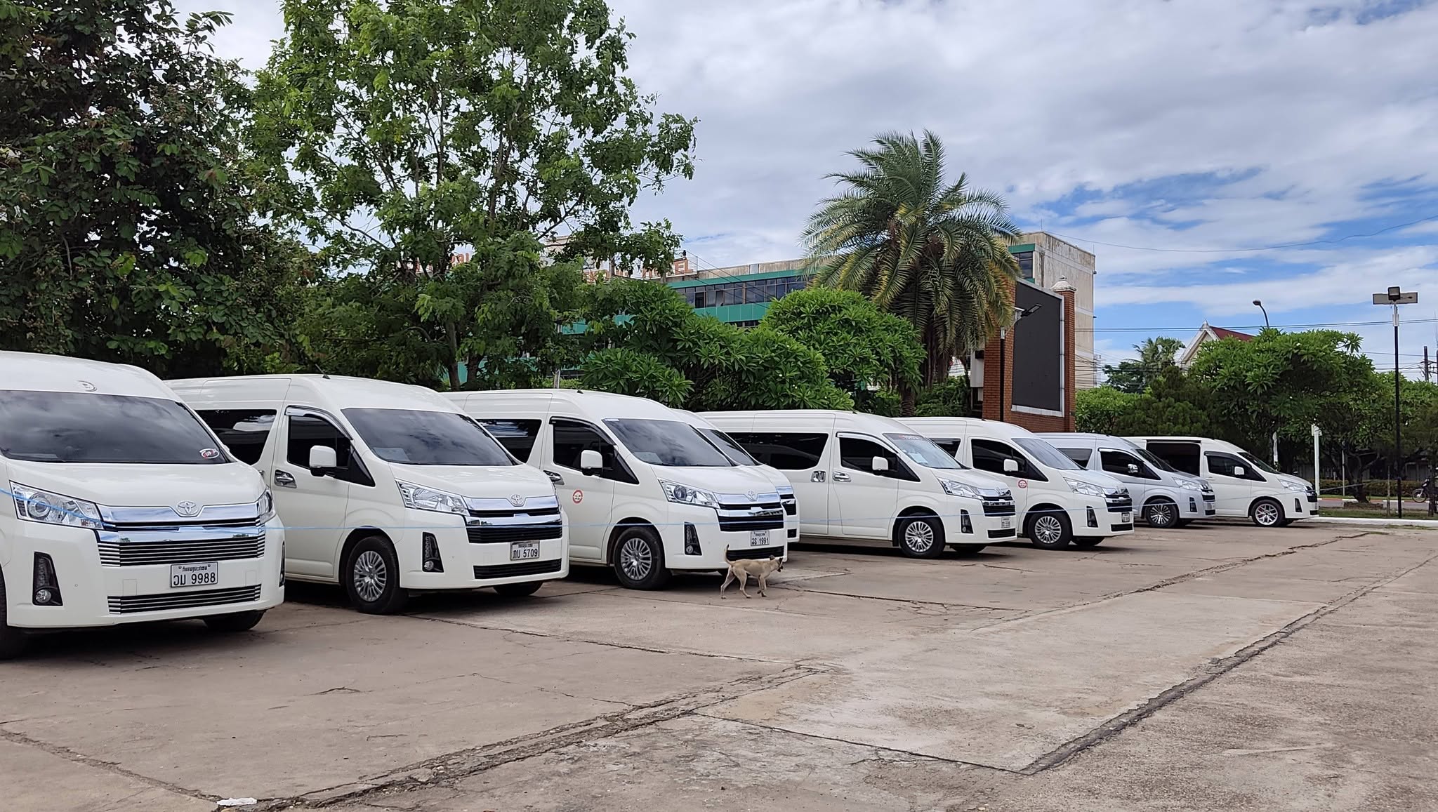 Minivan Service with driver - Image 2