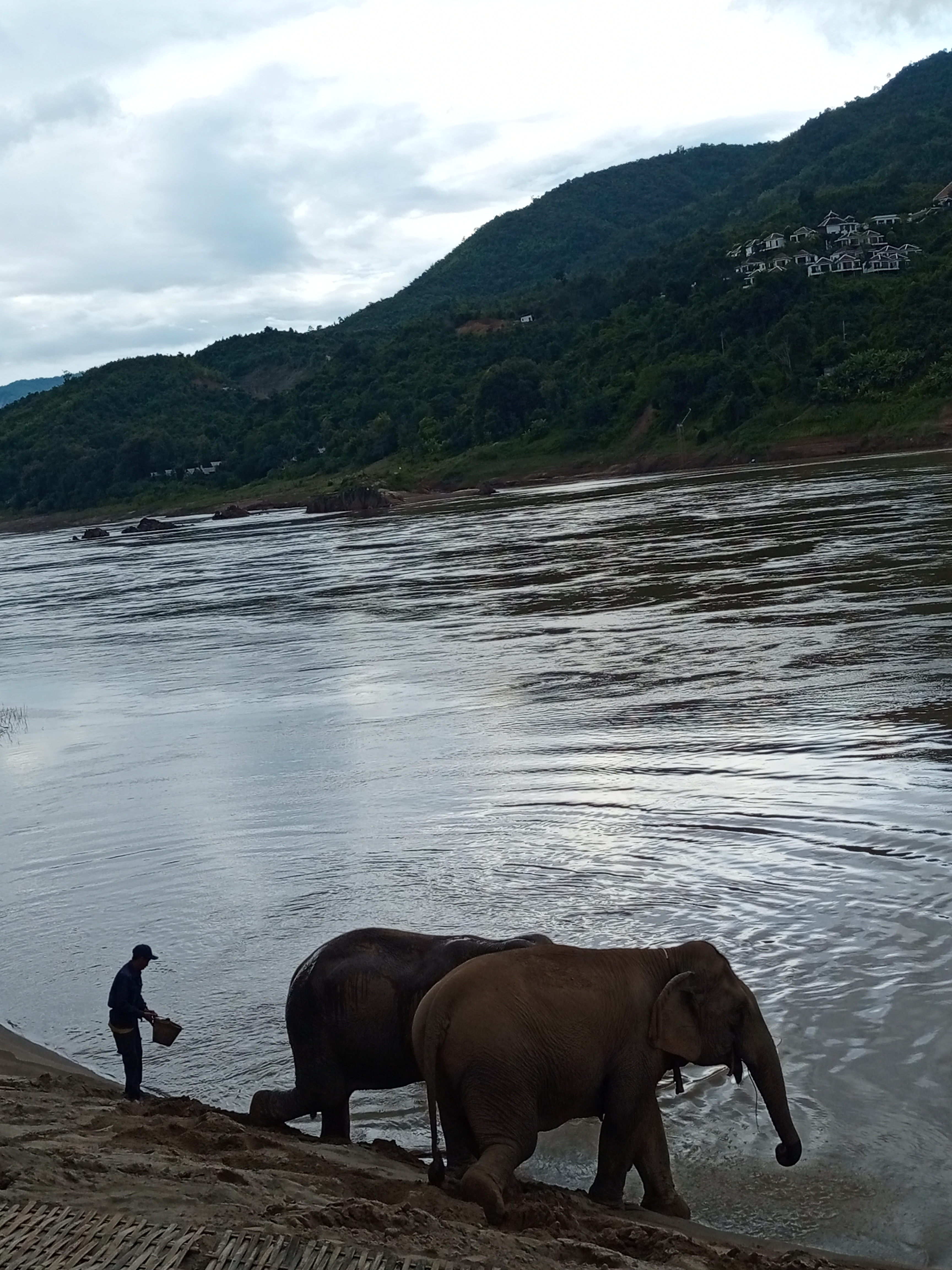 First Steps in Laos with Family in 8 Days Image